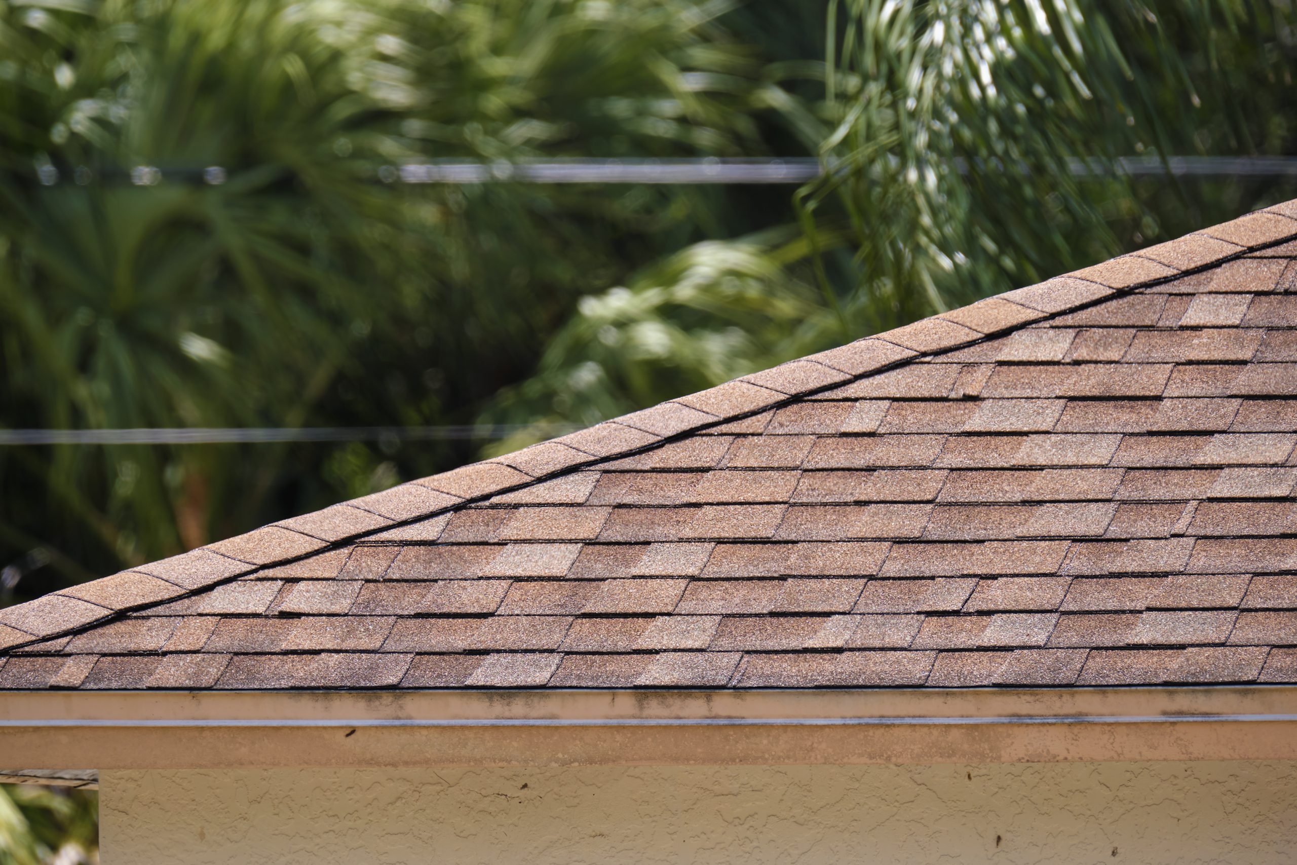 Asphalt Roofing Shingles Guide inspection and planning in New Jersey