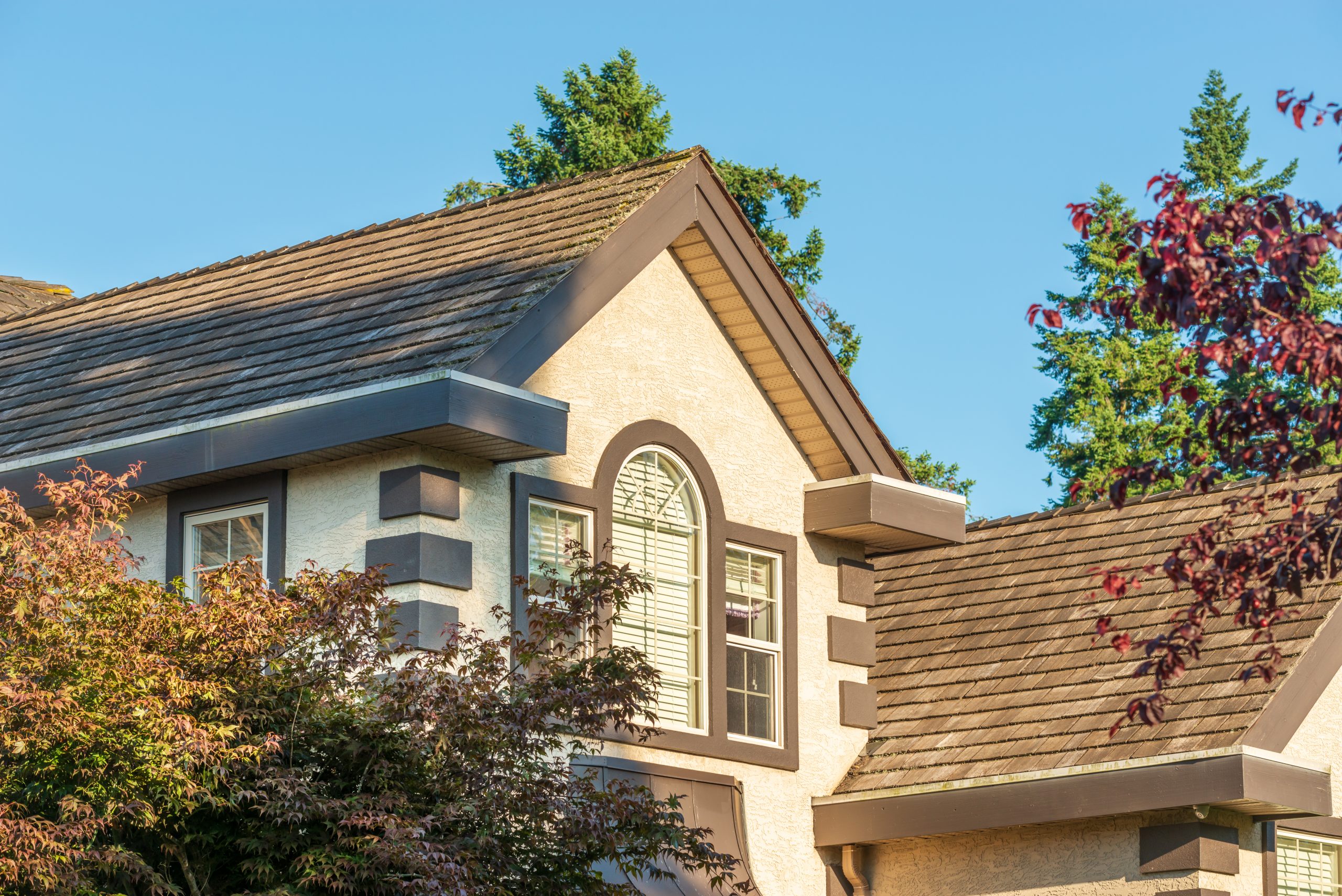 Terra Nova professional service related to insurance claim vs. out-of-pocket roof repair